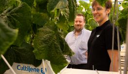 Niclas Sigg and Annica Svartgrund (Siggpac)