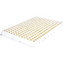 CultiOne 252_product
